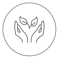 Hands holding a plant icon representing energy efficiency and comfort